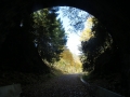 Long Point from insideweb