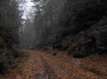Moore Road Notch