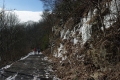 RUNNERS PAST ICICLE 2-9-13web