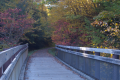 bridge-on-sandy-creek-trail