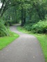 curvingtrail