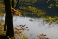 kayaker-on-allegheny-river