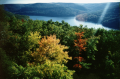 kennerdell-overlook-fall-co